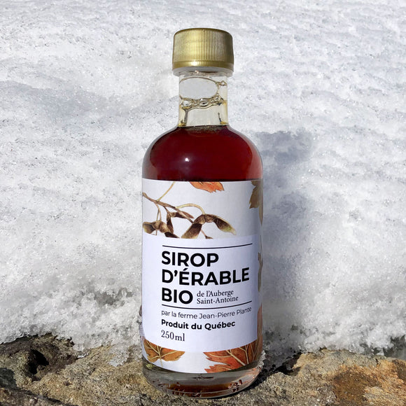 Sirop d'érable | Maple Syrup